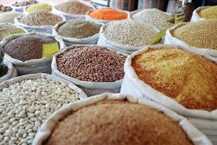 Güneydoğu’dan 9 ayda 2,6 milyar dolarlık hububat ihracatı