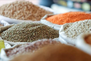 Güneydoğu'dan ilk 4 ayda 1,2 milyar dolarlık hububat ihracatı