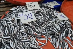 Hamside sezon bereketi: Fiyat 50 liraya kadar düştü