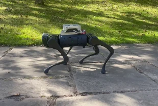 Hayvan refleksine sahip ilk robot köpek, eğitilmeden ormanda yürüdü
