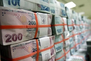 Hazine devlet tahvili ihalelerinde 78,9 milyar lira topladı