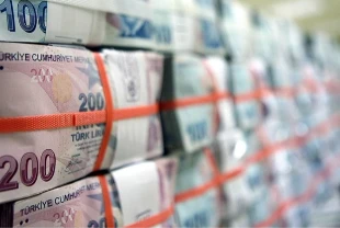 Hazine piyasadan 141,9 milyar lira çekti