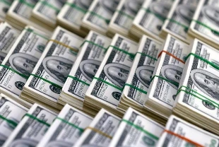 Hazine ve Maliye Bakanlığı dolar cinsinden tahvil ihracı için yetki verdi