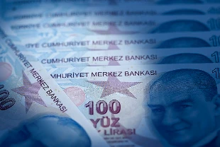 Haziran ayı SED ödemeleri hesaplara yatırıldı: 1 milyar 830 milyon liralık destek