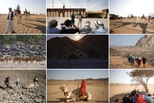 Hicret rotasındaki yürüyüşte sona yaklaşılıyor