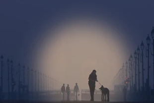 Hindistan, başkent Yeni Delhi'de hava kirliliğine karşı "yapay yağmur" denemeleri yapıyor