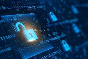 Hindistan piyasa düzenleyicilerine siber risk ve küresel iş birliği uyarısı