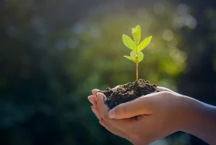 İki bakanlıktan 'yeşil vatan' iş birliği: Her YHT yolcusu için bir fidan dikilecek