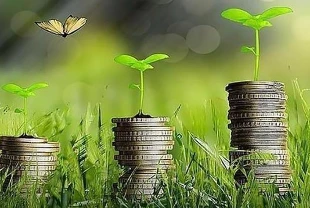 İklim finansmanında yıllık 1,3 trilyon dolar hedefi: UNFCCC 'Ulaşılabilir ve gerekli' dedi