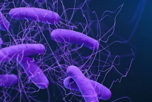 İlaca dirençli bakterileri saatler içinde yok eden nanojel geliştirildi