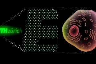 İnsan hücresinden 100 kat daha küçük pikselli nano-OLED geliştirildi