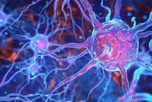 İnsansı robotlar için yapay ağrı siniri geliştirildi