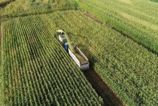 IPARD-III’de büyük destek: 156 yerel eylem grubuna 2,2 milyar lira hibe