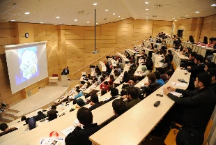 İş gücü piyasasının yeni yıldızları