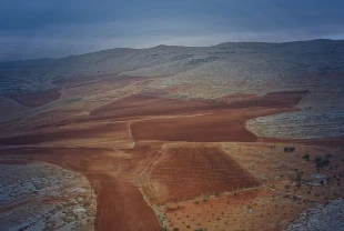 İşlenmeyen tarım arazileri üretime kazandırılıyor: Yüzde 75'e varan hibe desteği