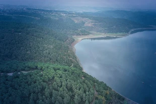 İstanbul barajlarında son durum! Doluluk yüzde 50 eşiğini aştı