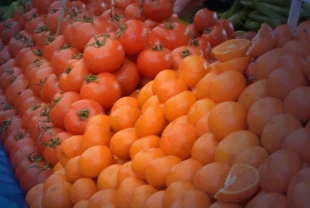 İstanbul hal verileri: En çok domates satıldı