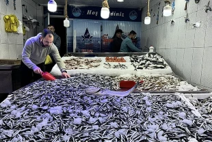 İstanbul’un balık tercihi şaşırttı! Mayıs ayında rekor kırdı