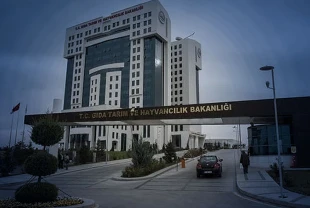 İstilacı yabancı türlerle mücadelede yeni dönem: Ulusal liste oluşturulacak