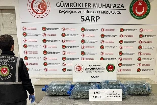 Kaçak canlı hayvan operasyonu: 85 bin 342 hayvana el konuldu