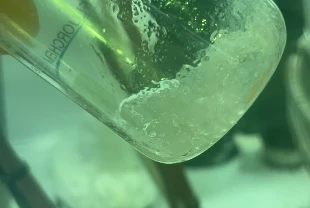 'Kalıcı kimyasallara' yeni filtre teknolojisi: 100 kat daha hızlı yok ediyor