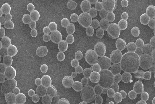 Kanser ilacını hedefine taşıyan 'mikrobaloncuk robot' geliştirildi