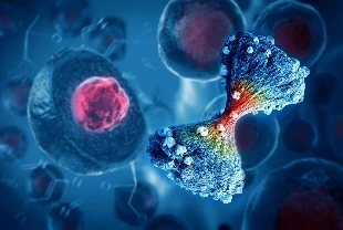 Kanser yayılımını tahmin eden yapay zeka modeli geliştirildi: MangroveGS