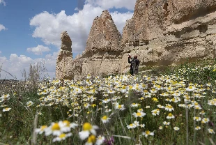 Kapadokya çiçeklerle buluştu