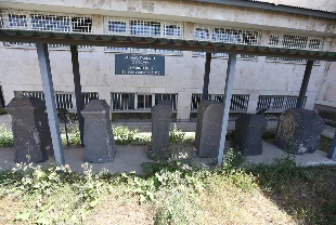 Kars Arkeoloji Müzesi farklı dönemlerin "sessiz tanıkları"na ev sahipliği yapıyor