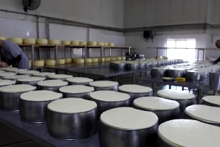 Kırklareli'nde üretilen süt ürünleri 17 ülkede sofralara lezzet katıyor