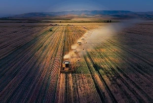 Kırsal bölgelerde 46 binden fazla proje desteklendi: 232 bin kişiye istihdam sağlandı