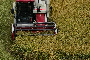 Kırsal kalkınmaya 10 milyarlık destek: Kırsal Kalkınma Yatırım Programı 2026 başvuruları başladı