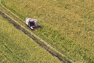 Kırsalda kalkınma 65,5 milyar liralık yatırımla desteklenecek