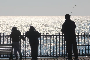 Kış mevsimi sıcak geçecek: Sıcaklıklar mevsim normallerinin 2 derece üzerine çıkacak