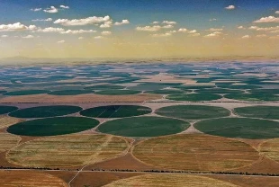 Konya'nın dairesel tarlalarında hasat tamamlandı