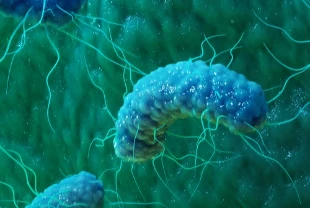 Kumaş boyamaya çevre dostu alternatif