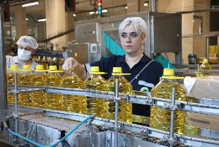 Küresel ayçiçek yağı piyasası üç yılın zirvesinde