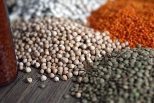 Küresel gıda fiyatları kasımda yüzde 1,2 azaldı