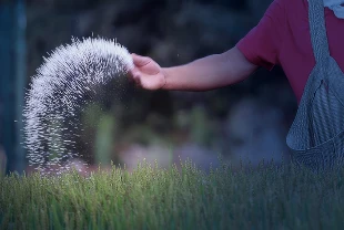 Küresel gübre krizi riski: Hürmüz Boğazı'ndaki tıkanıklık gıda güvenliğini tehdit ediyor