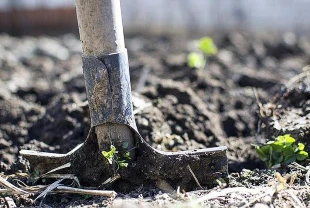Küresel gübre krizinde alarm: Hürmüz kaynaklı tedarik daralması derinleşiyor