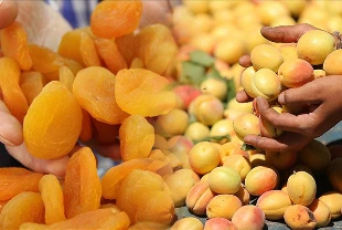 Kuru meyve ihracatının yüzde 25'ini karşılıyor! Lisanlı depo sayesinde dünya pazarında