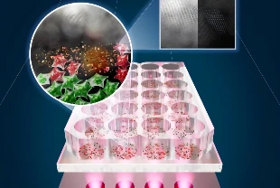 LED ışık ve kalay pulları: Sadece kanserli hücreleri yok ediyor
