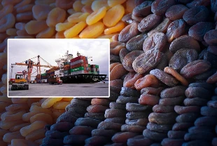 Lisanslı depoculuk etkisiyle zirai don ihracatı vurmadı! Kuru kayısıda 300 milyon lira barajı aşıldı