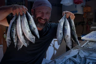 Lüfer bekleniyordu: Palamut geldi! İgneada açıklarında iğne atsan palamut geliyor