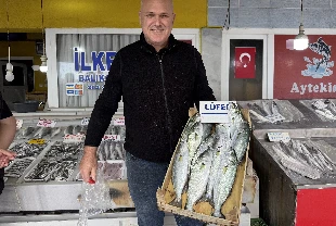 Lüfer mevsimi başladı! Tekirdağ'da ağlar atıldı