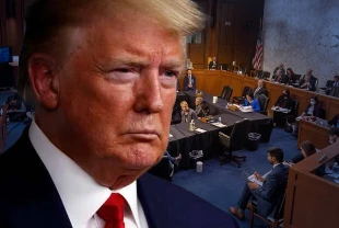 Mahkemenin gümrük vergisi kararı sonrası şirketler sıraya girdi! Başvurular 1800'ü aştı