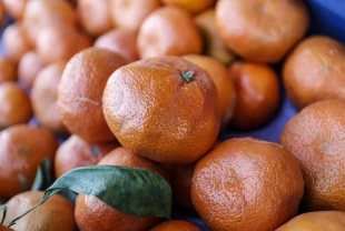 Mandalina ihracatı yüzde 34 arttı! 375 milyon dolara yükseldi