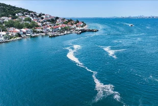 Marmara’da müsilaj incelemelerinin sonuçları açıklandı