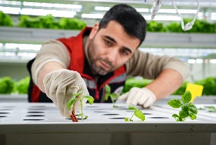 Megakentte gıda arzına ‘akıllı’ çözüm