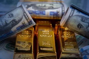 Merkez Bankası açıkladı: Rezervlerde güçlü toparlanma